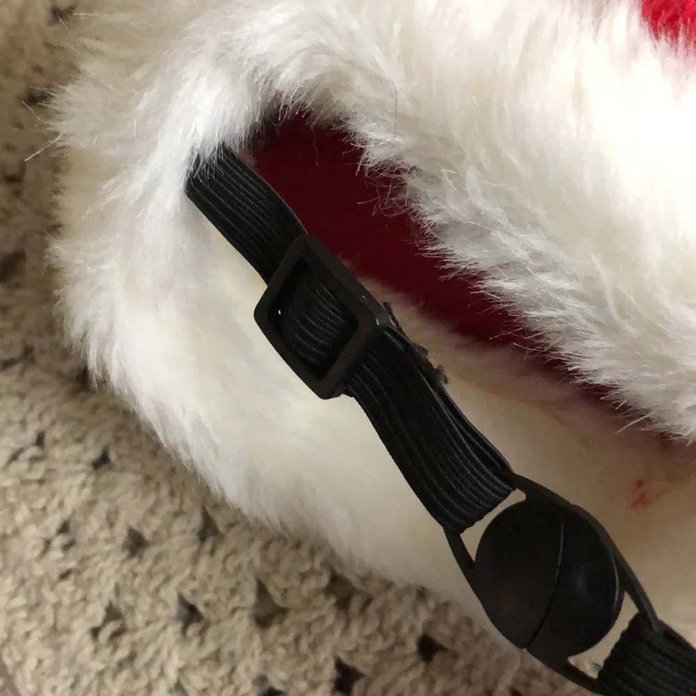 Christmas Holiday Santa Dog Hat